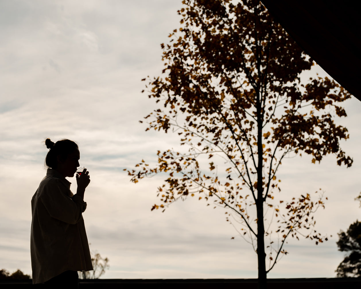 Aspiring For Collective Peace Through Inner Peace