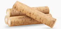 burdock root