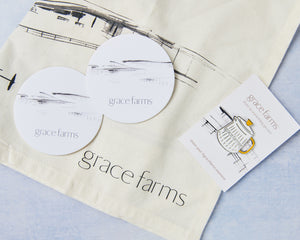 journey into the world of tea | green & black teas