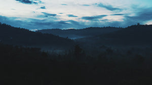 Single Origin Indonesia