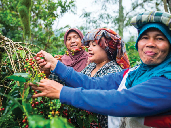 Grace Farms Foods is paving the way for a new kind of social entrepreneurship