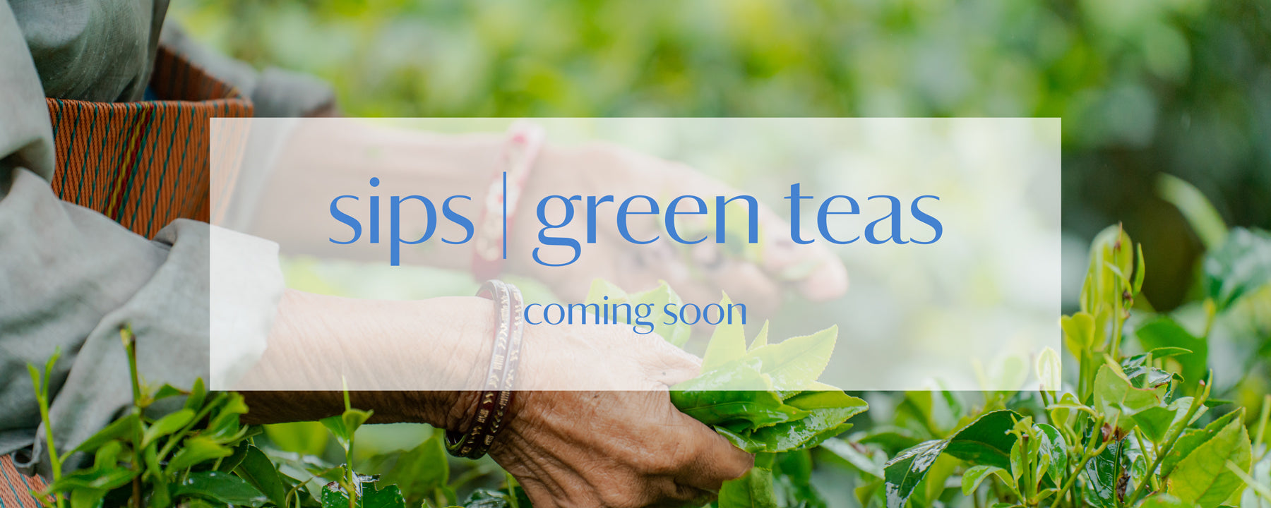 Green Teas