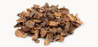 cacao shells