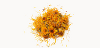 calendula