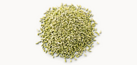 fennel