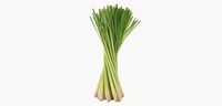 lemon balm & lemongrass