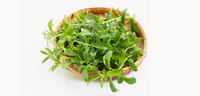 spearmint