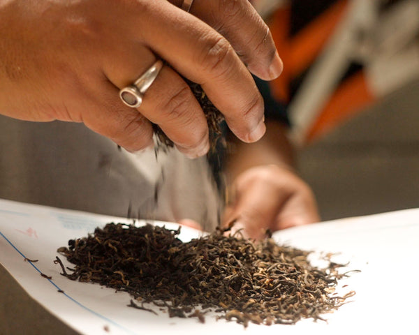 Full Moon Darjeeling Second Flush