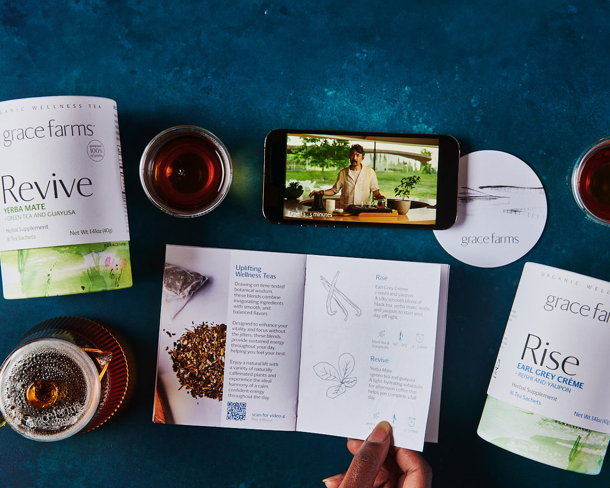 journey into the world of teas | wellness teas