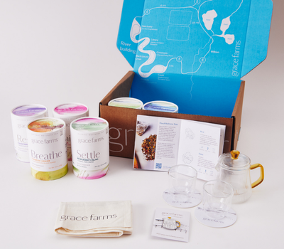 Journey into the World of Tea