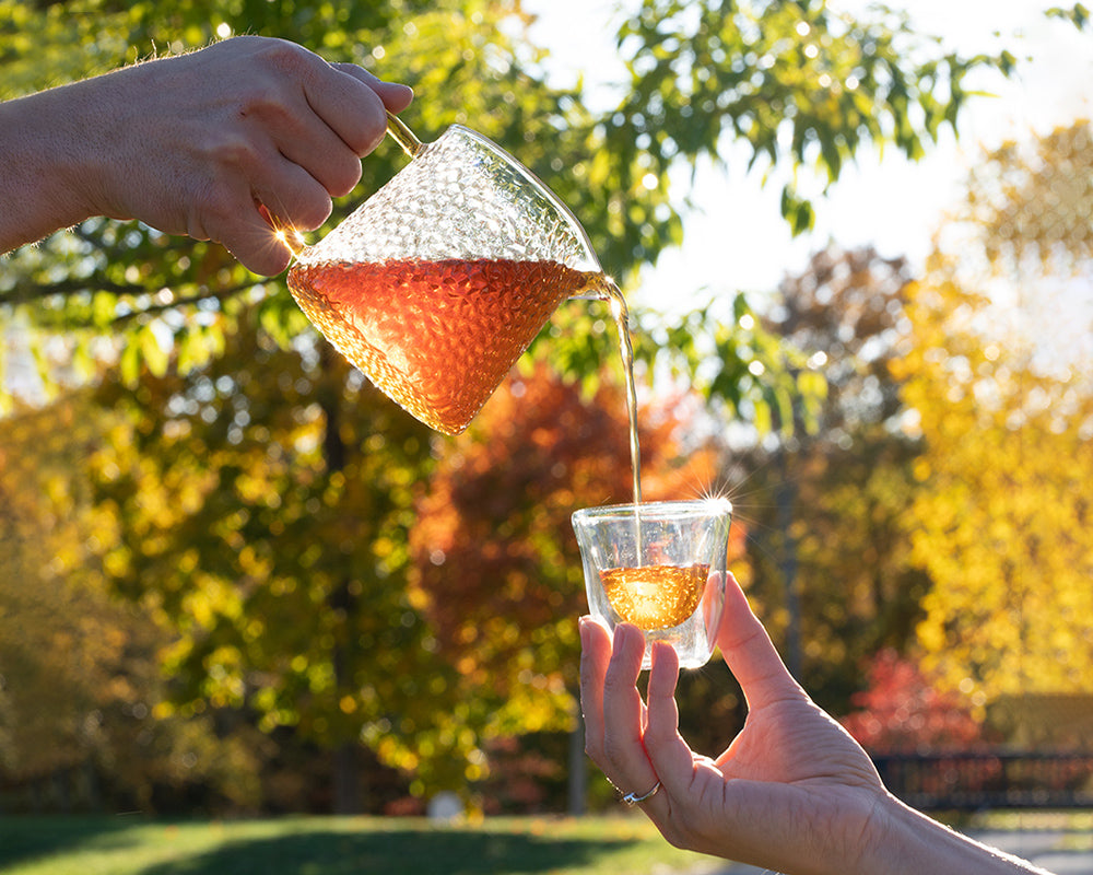 Rooibos Chai